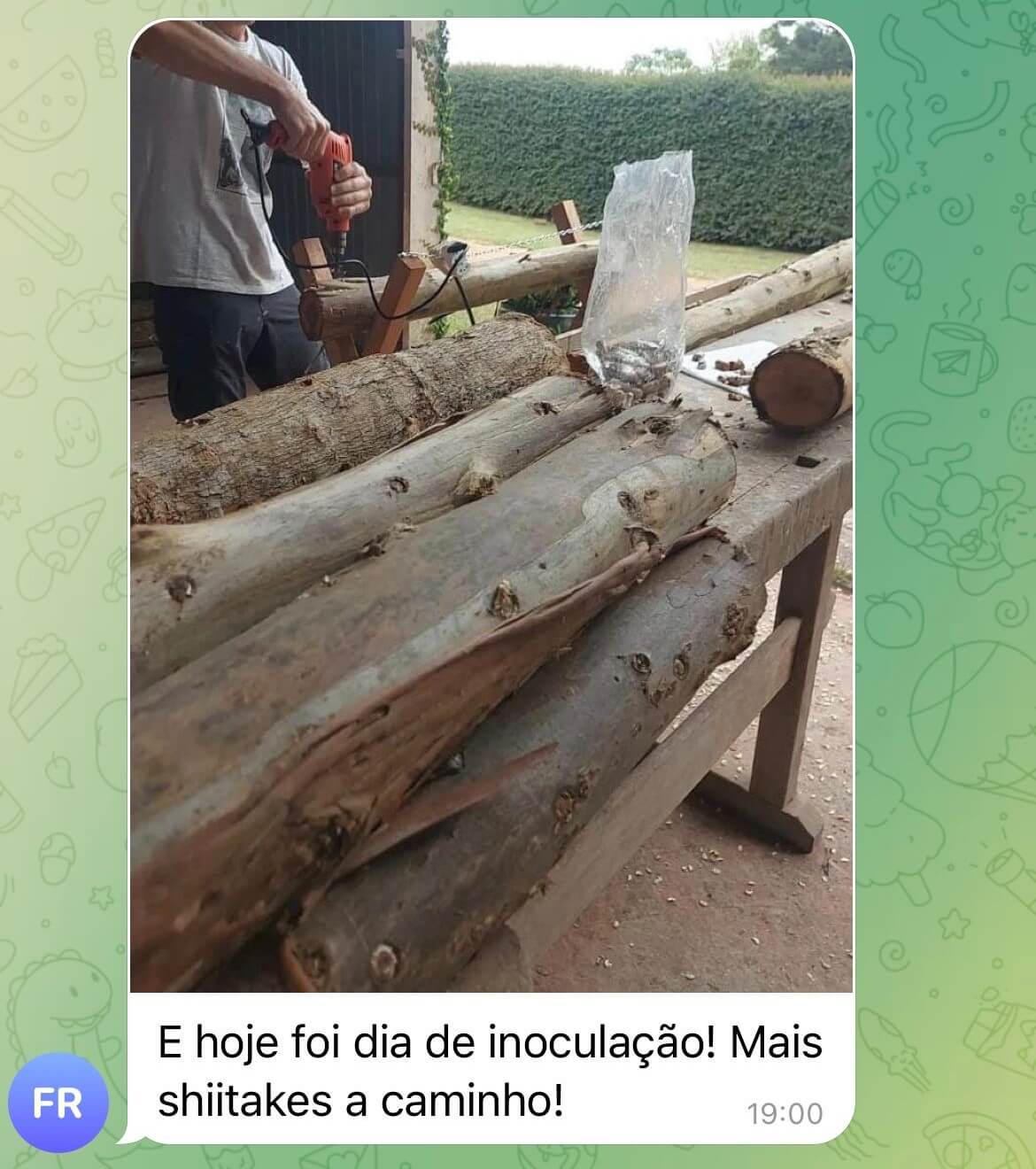 WhatsApp-Image-2023-10-31-at-17.54.42.jpeg